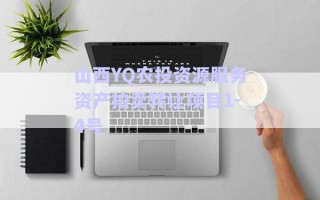 山西YQ農(nóng)投資源服務(wù)資產(chǎn)拍賣(mài)轉(zhuǎn)讓項(xiàng)目1-4號(hào)