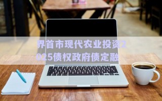 界首市現(xiàn)代農(nóng)業(yè)投資2025債權政府債定融