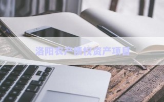 洛陽(yáng)農(nóng)產(chǎn)債權(quán)資產(chǎn)項(xiàng)目