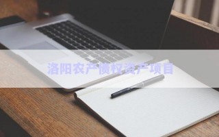 洛陽農(nóng)產(chǎn)債權(quán)資產(chǎn)項(xiàng)目