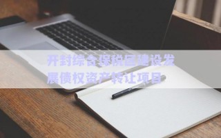 開封綜合保稅區(qū)建設(shè)發(fā)展債權(quán)資產(chǎn)轉(zhuǎn)讓項(xiàng)目