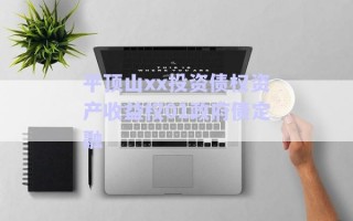 平頂山xx投資債權資產(chǎn)收益權01政府債定融