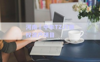 河南?中牟TZJT債權(quán)資產(chǎn)項目