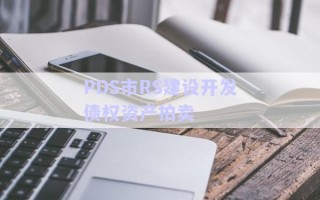 PDS市RS建設開發(fā)債權資產(chǎn)拍賣