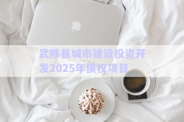 武陟縣城市建設(shè)投資開發(fā)2025年債權(quán)項(xiàng)目-第1張圖片-政信固收網(wǎng)