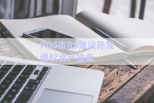 PDS市RS建設(shè)開(kāi)發(fā)債權(quán)資產(chǎn)拍賣(mài)-第1張圖片-政信固收網(wǎng)