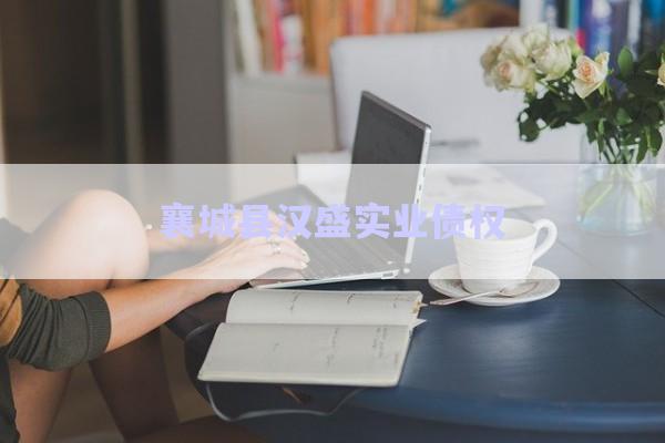 襄城縣漢盛實(shí)業(yè)債權(quán)-第1張圖片-政信固收網(wǎng)